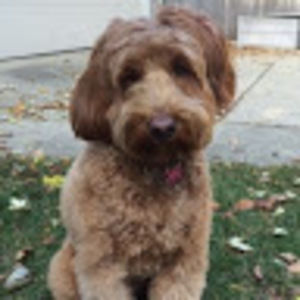 Meet your Posher, Julie